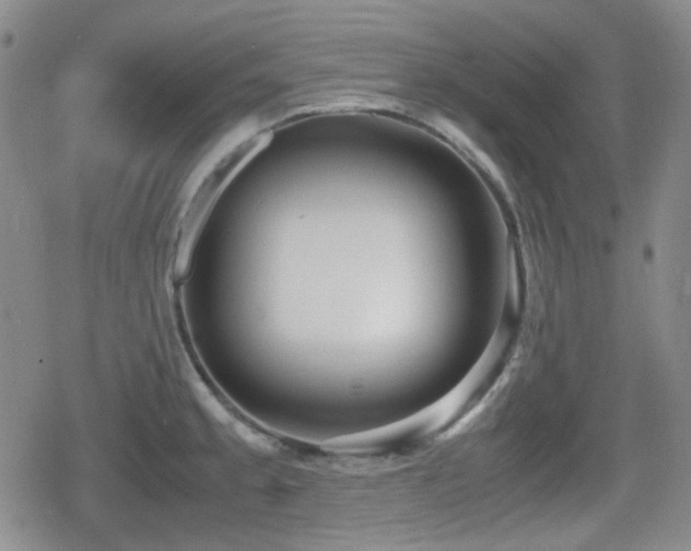 X0000080711189200612151126