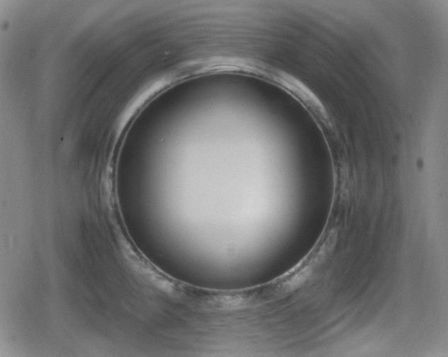 X0000080711190200612151126