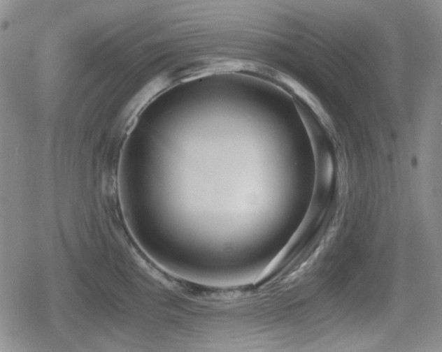 X0000080711193200612151126
