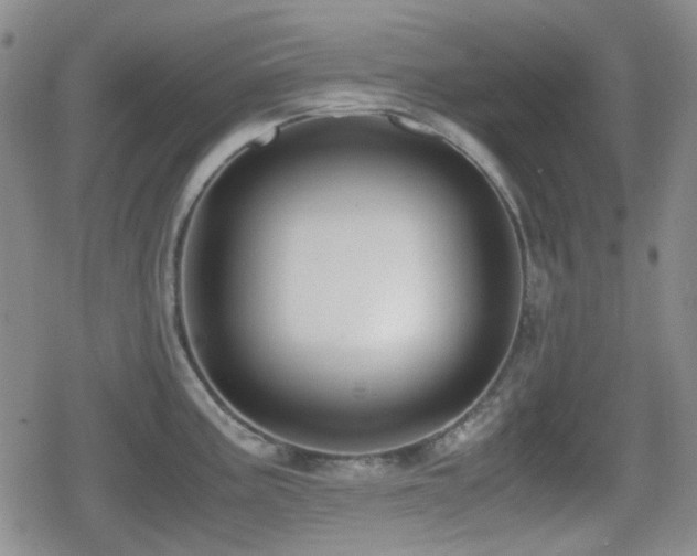 X0000080711195200612151126