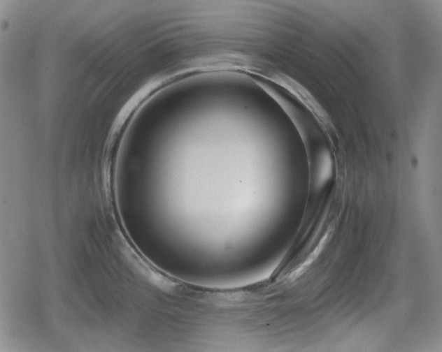 X0000080711196200612151126