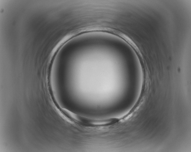 X0000080711197200612151126