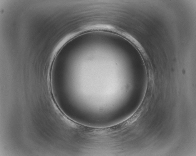 X0000080711199200612151126