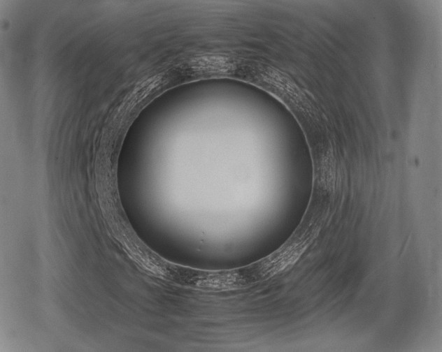 X0000080711201200612151125