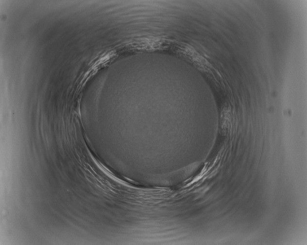 X0000080711202200612151125