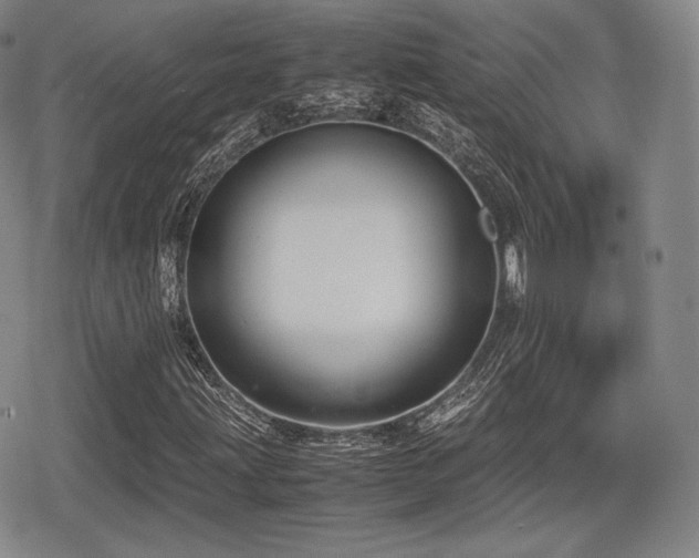X0000080711203200612151125