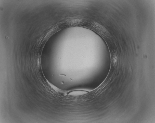 X0000080711204200612151125