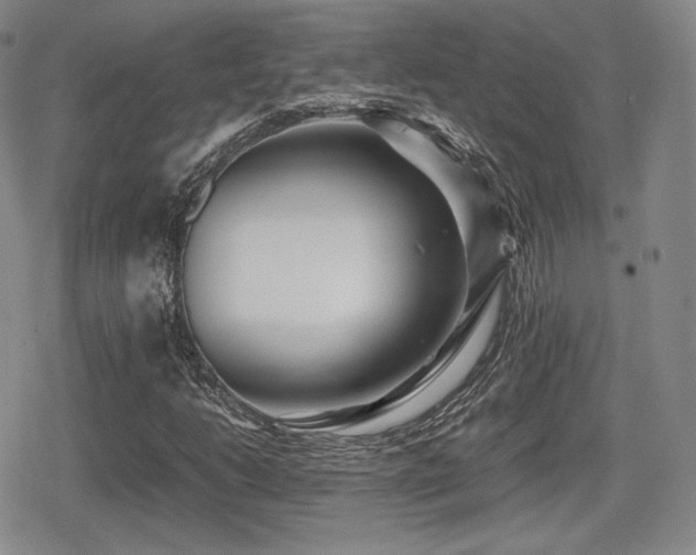 X0000080711206200612151125