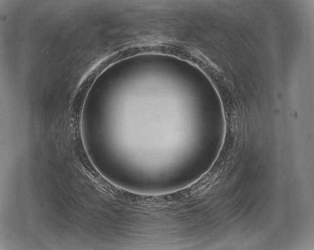 X0000080711208200612151125