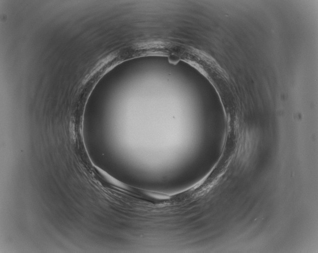 X0000080711209200612151125