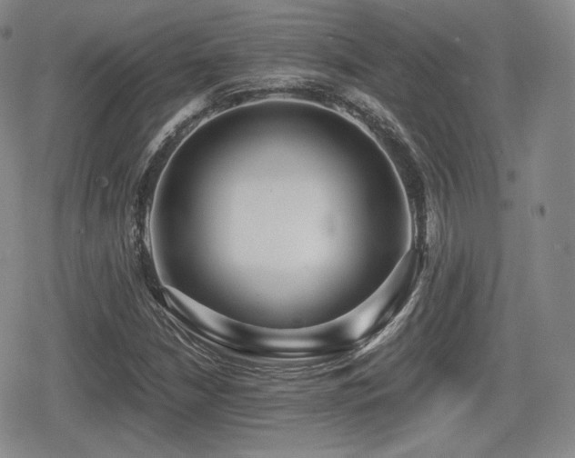 X0000080711210200612151125