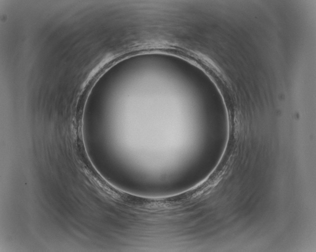 X0000080711212200612151125