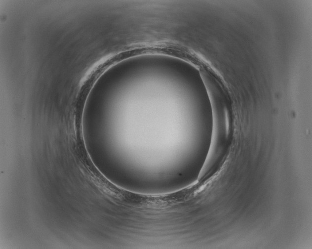 X0000080711214200612151125