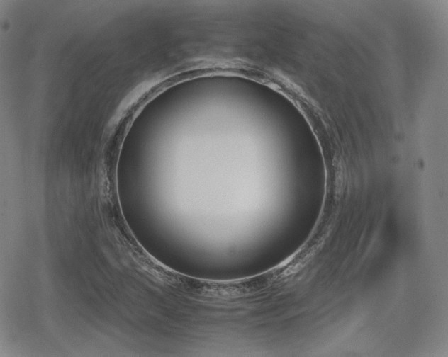 X0000080711215200612151125