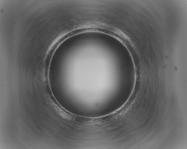 X0000080711216200612151125