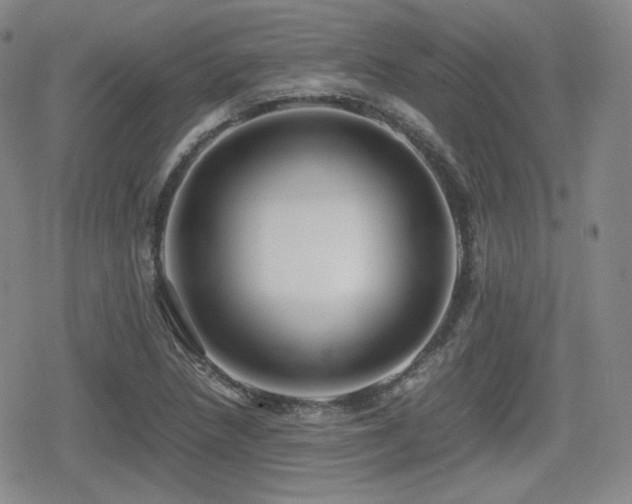 X0000080711218200612151125