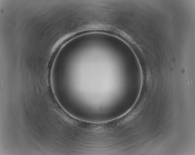 X0000080711222200612151125