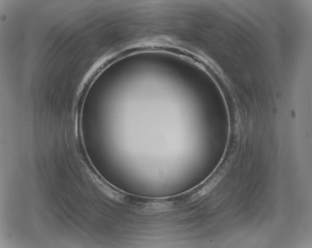 X0000080711224200612151125