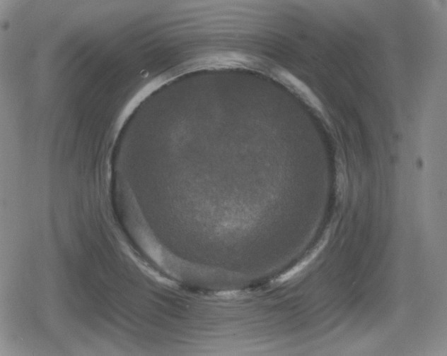 X0000080711226200612151125