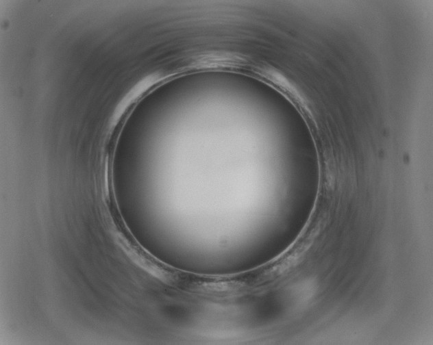 X0000080711227200612151125