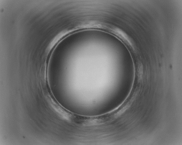X0000080711228200612151125