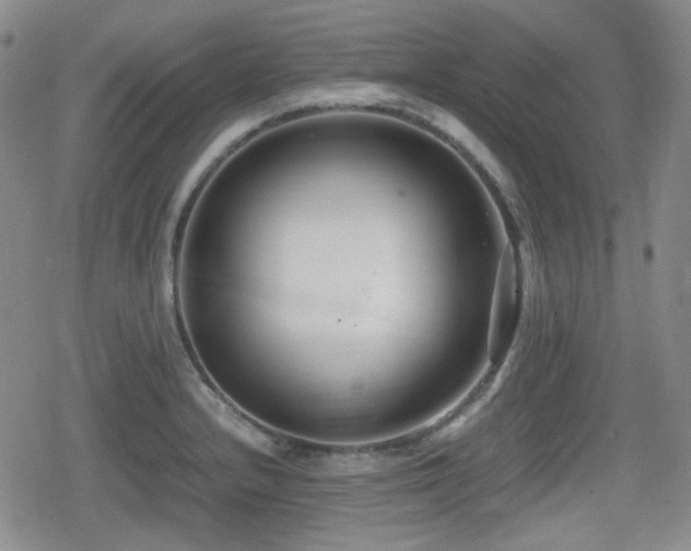 X0000080711232200612151126