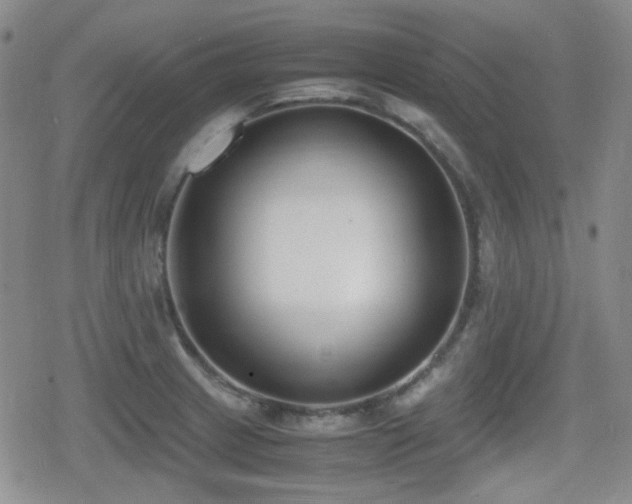 X0000080711233200612151126