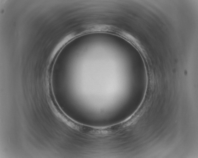 X0000080711235200612151126
