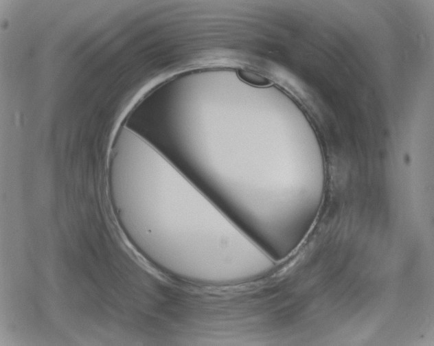 X0000080711236200612151126