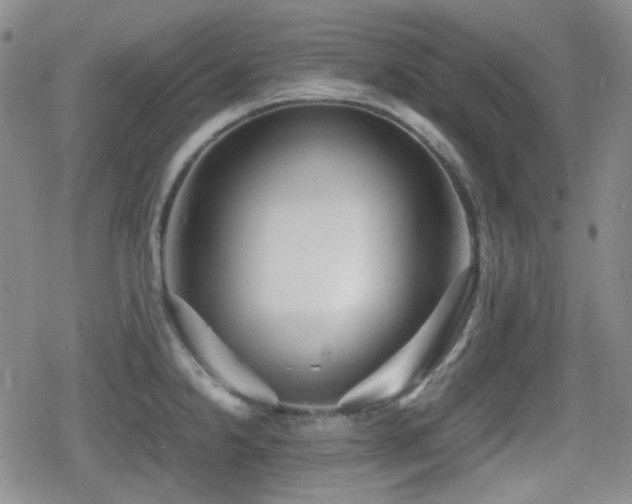 X0000080711238200612151126