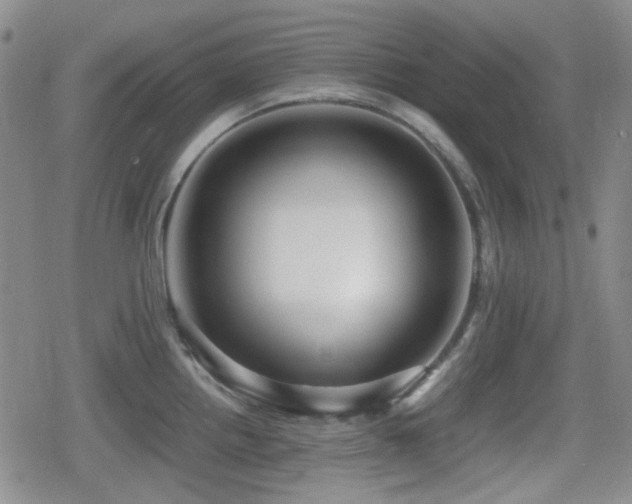 X0000080711242200612151126