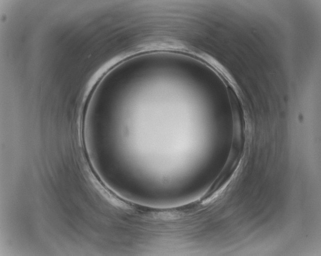 X0000080711246200612151126