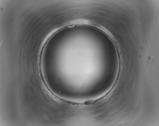 X0000080711248200612151126
