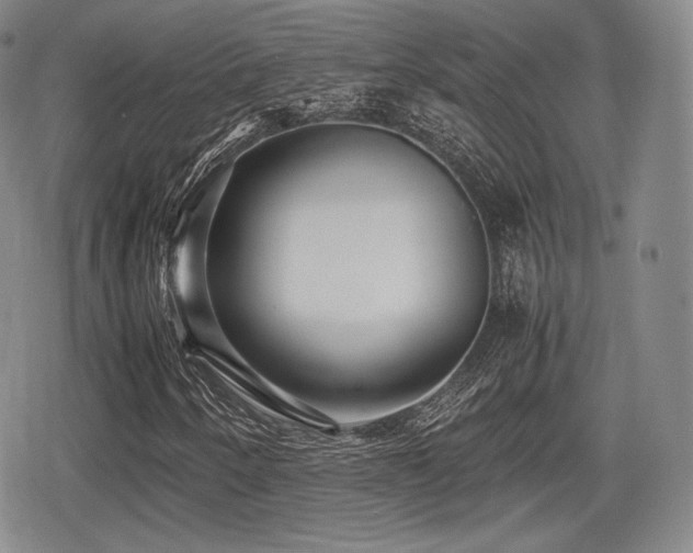 X0000080711250200612151125