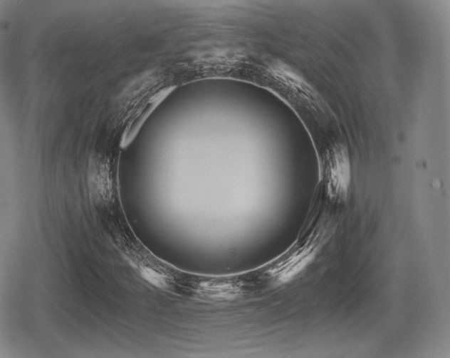 X0000080711252200612151125
