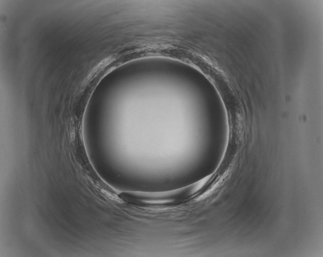X0000080711257200612151125