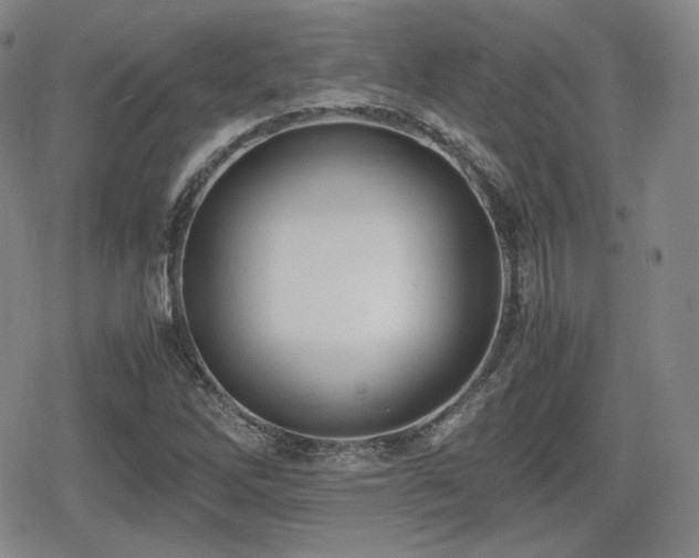 X0000080711262200612151125