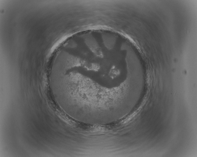 X0000080711263200612151125