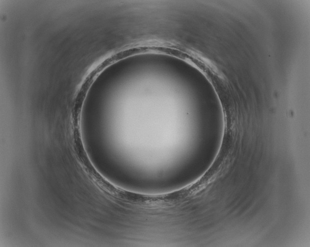 X0000080711264200612151125