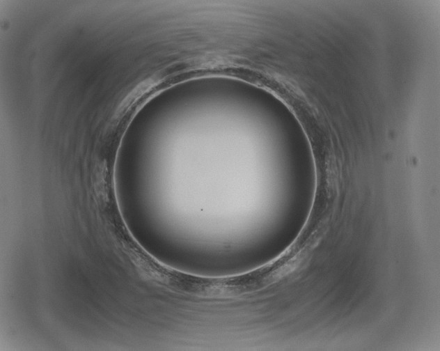 X0000080711265200612151125