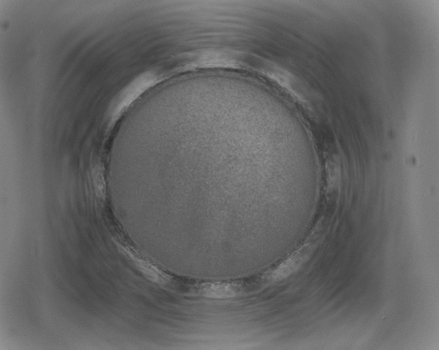X0000080711266200612151125