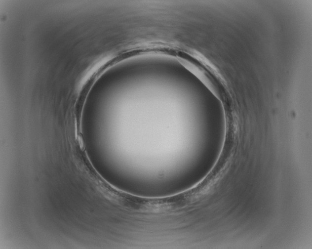 X0000080711269200612151125