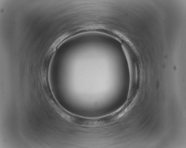 X0000080711273200612151125