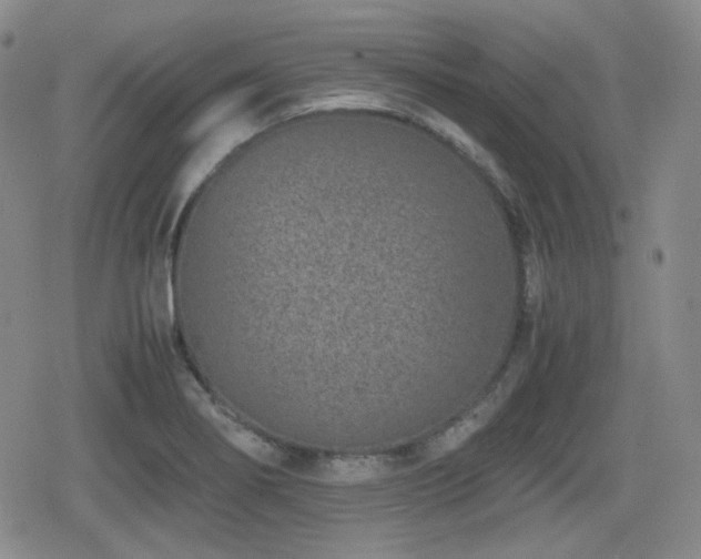 X0000080711274200612151125
