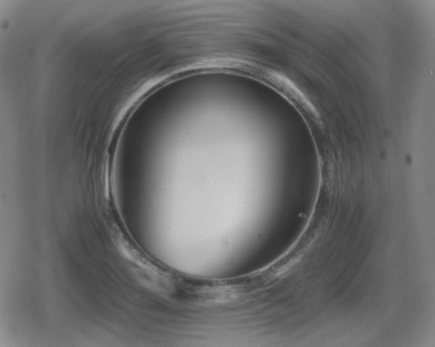 X0000080711276200612151125