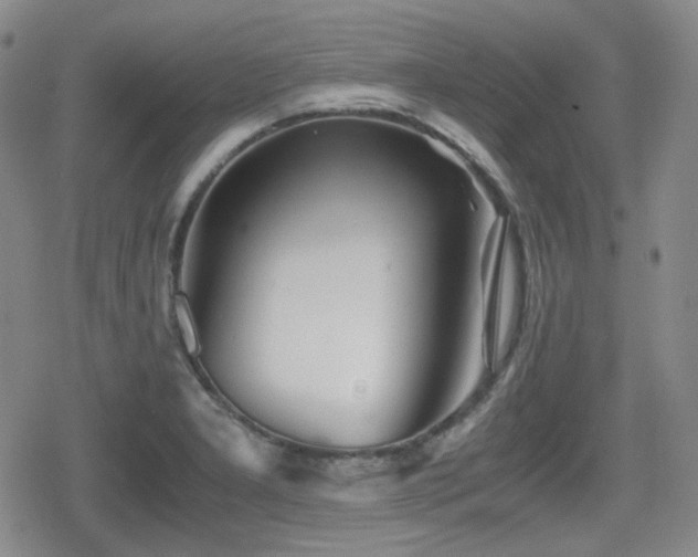 X0000080711277200612151125