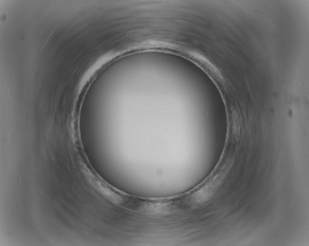 X0000080711278200612151125