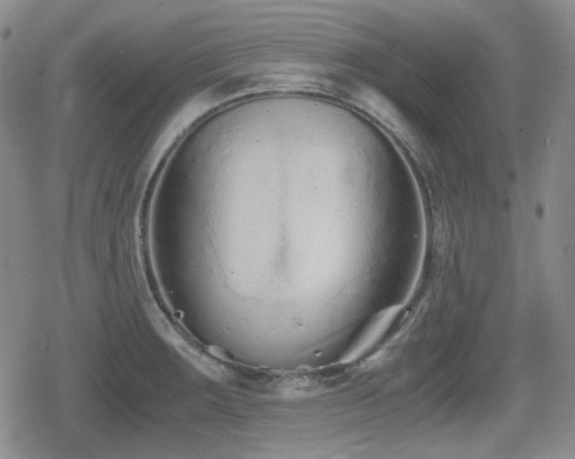 X0000080711283200612151124