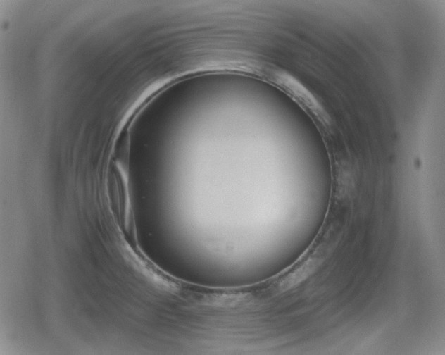 X0000080711284200612151124