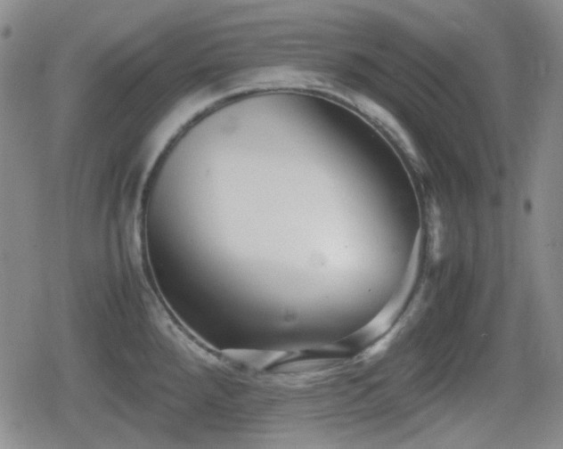 X0000080711288200612151124